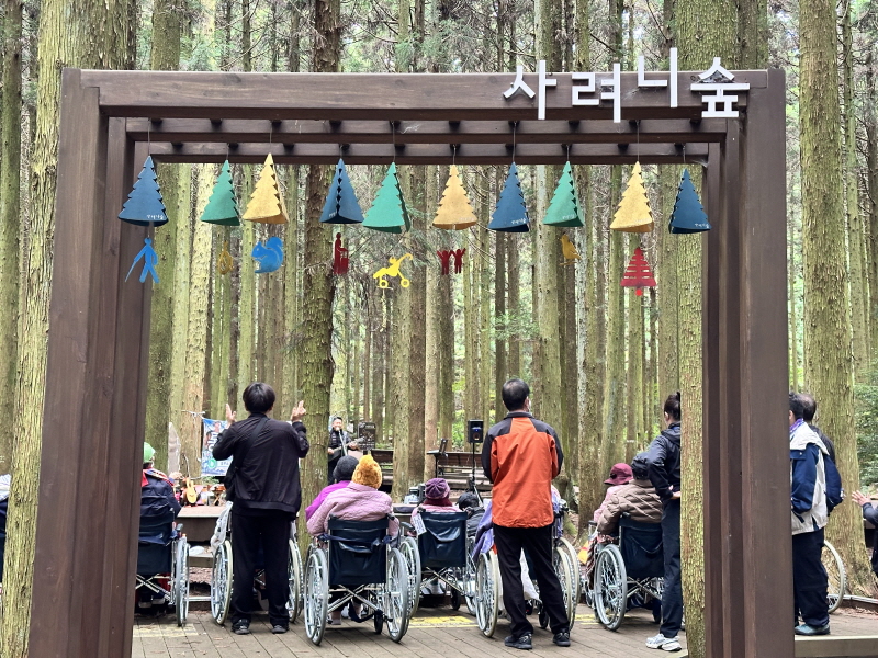 사려니숲길 음악회