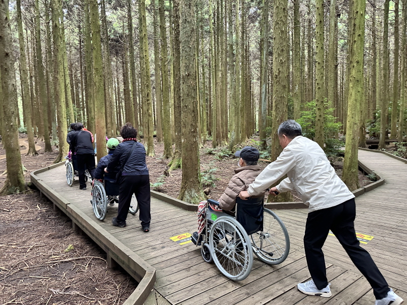 사려니숲길 산책하는 모습