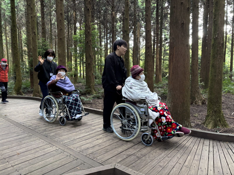 사려니숲길 산책하는 모습