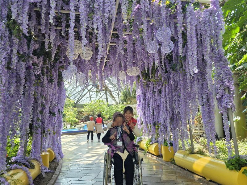 어르신들과 여미지식물원 관람하는 모습