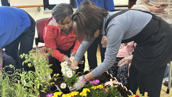 어르신들이 흙에 모종 심는 모습