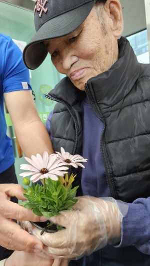 어르신들이 흙에 모종 심는 모습