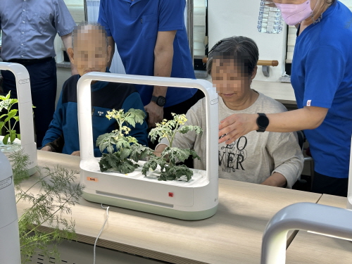 남자 어르신과 여자 어르신이 식물을 바라보고 있는 모습